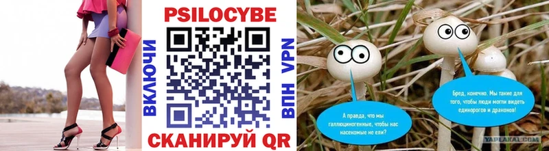 Галлюциногенные грибы Psilocybe mega tor Приволжский